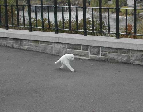 verywhere_500x500.jpg