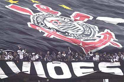 timao1.jpg
