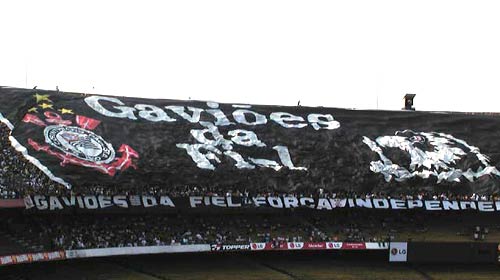 timao3.jpg