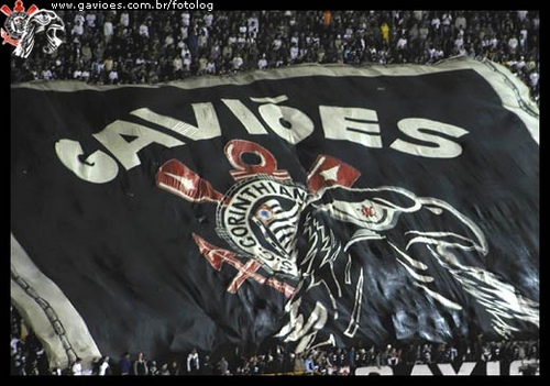 timao4.jpg