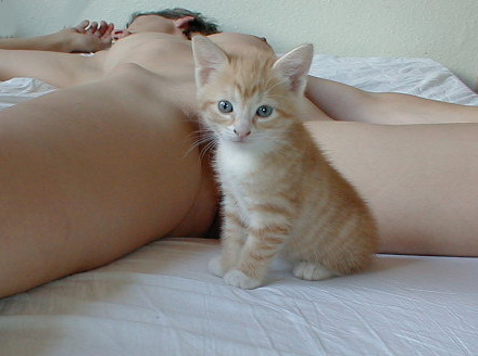 pussycat.jpg