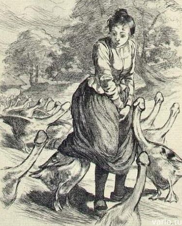 153_ero.jpg